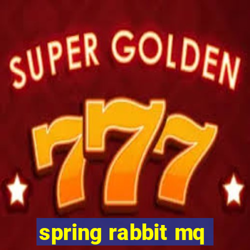 spring rabbit mq